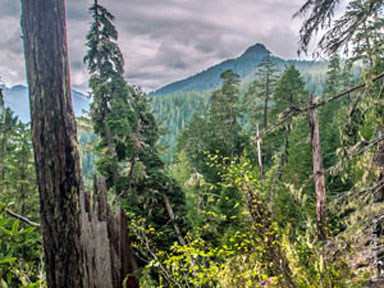 chimney peak from east graphic